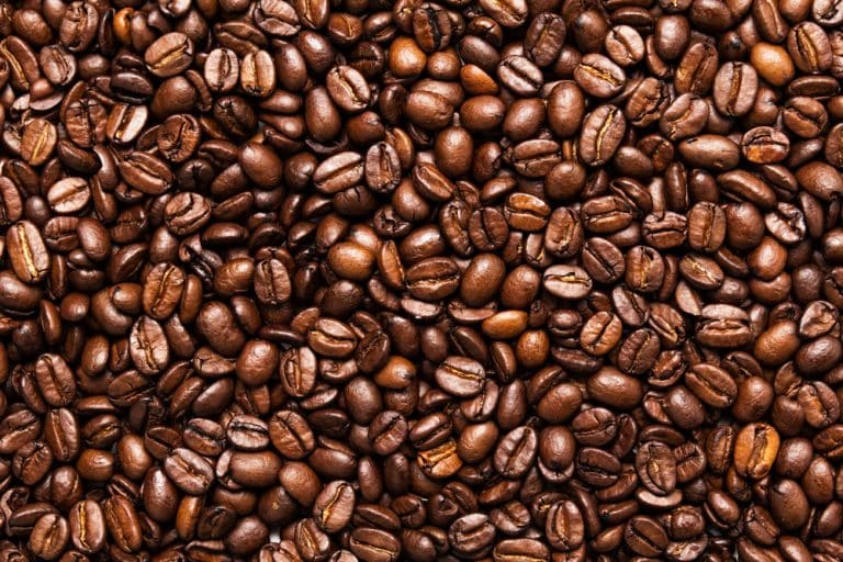 L’utilité du marc de café pour le jardinage