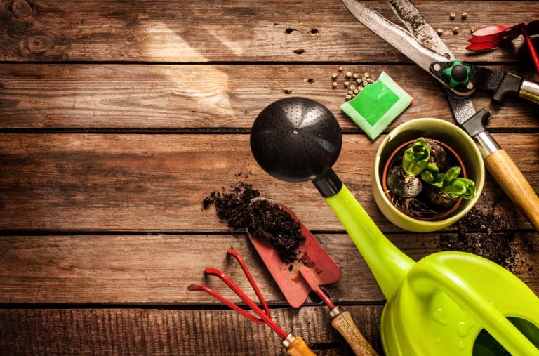 L’entretien des outils de jardinage
