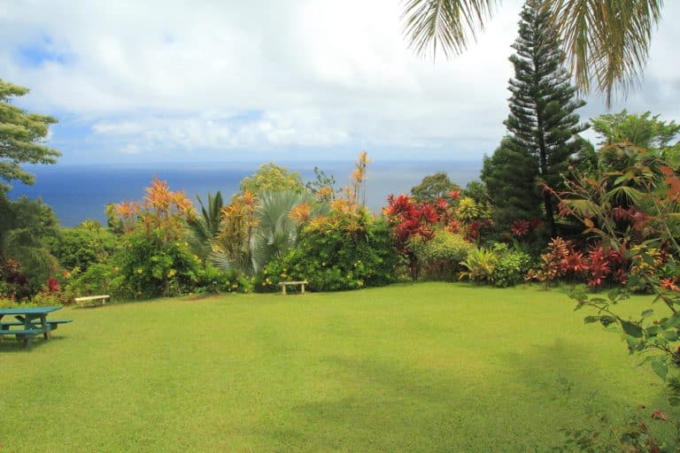 Le jardinage en bord de mer