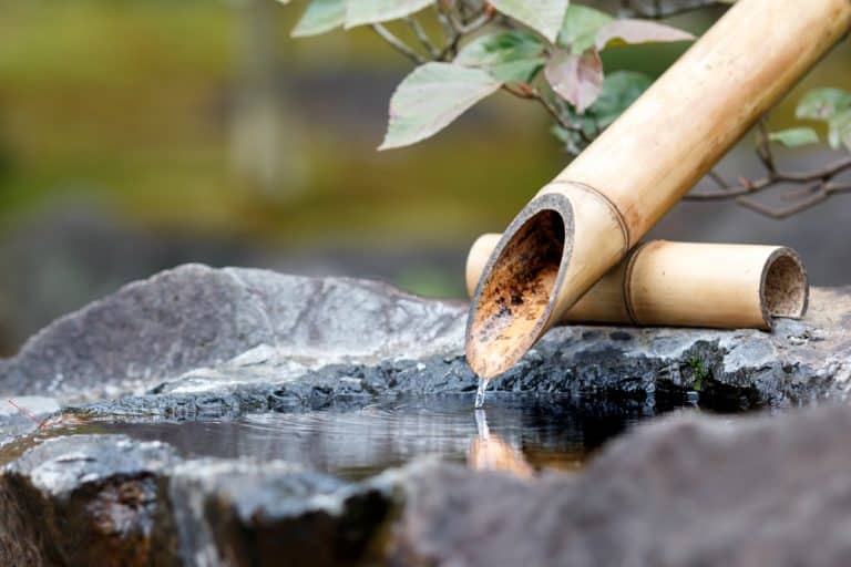 L’aménagement d’un jardin japonais