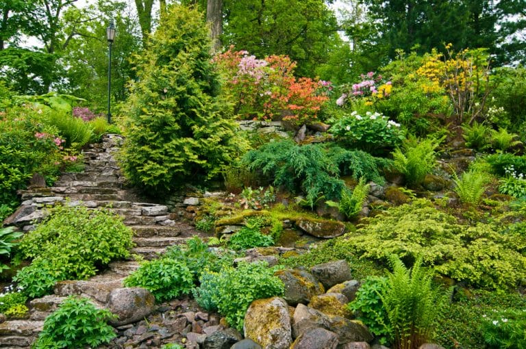 Jardin en pente : des idées d’aménagement