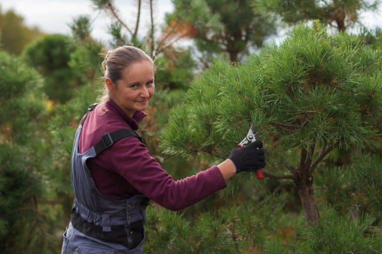 Le métier de jardinier paysagiste