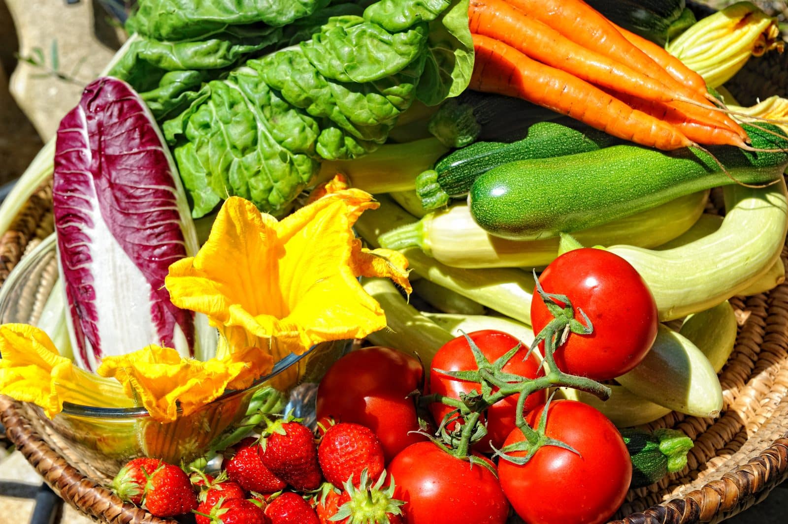 Pailler le sol de votre jardin potager