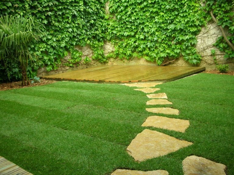 Comment entretenir sa pelouse et son jardin en avril