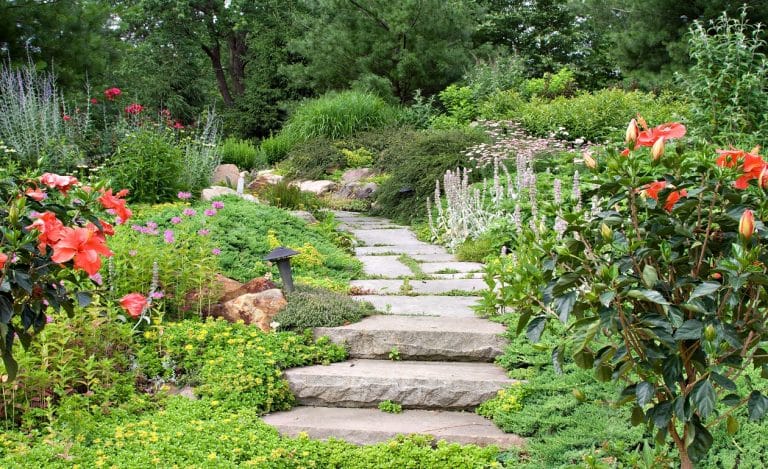 Un jardin thérapeutique dédié aux malades d’Alzheimer ouvre ses portes à Blois