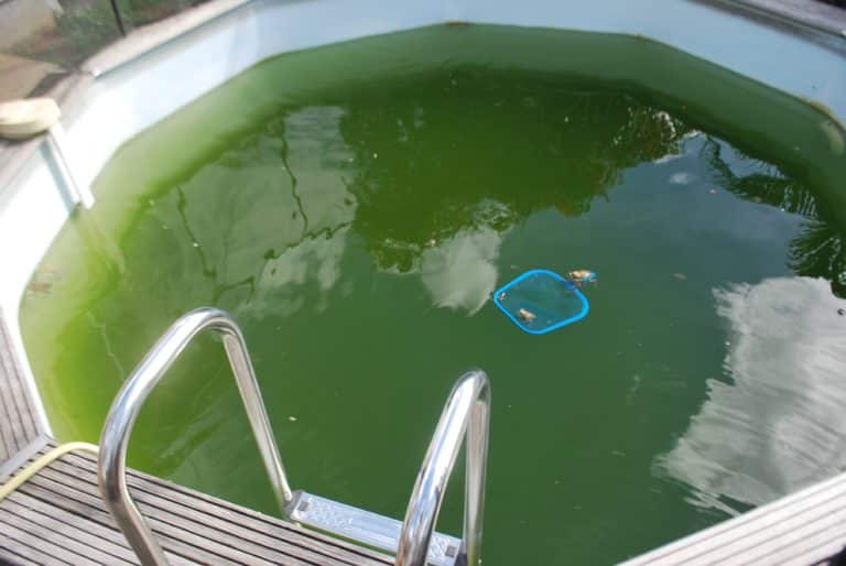 L’eau de votre piscine devient-elle verte ?