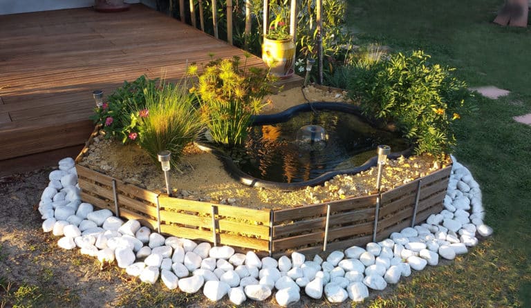 Opter pour un mini-bassin d’ornement