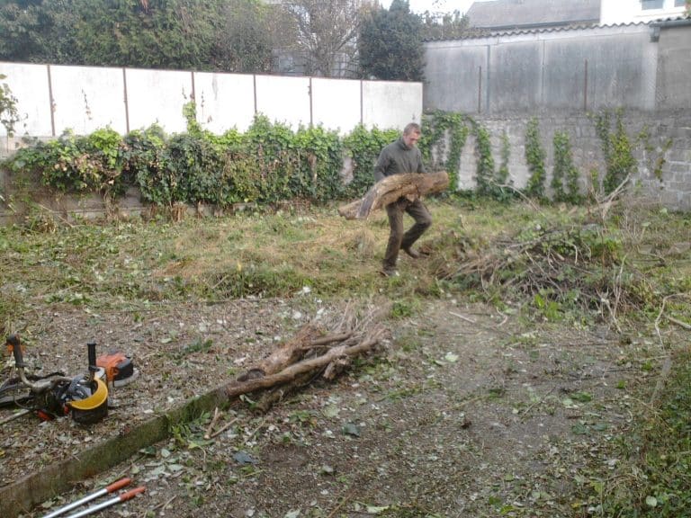 Le nettoyage d’un terrain en friche