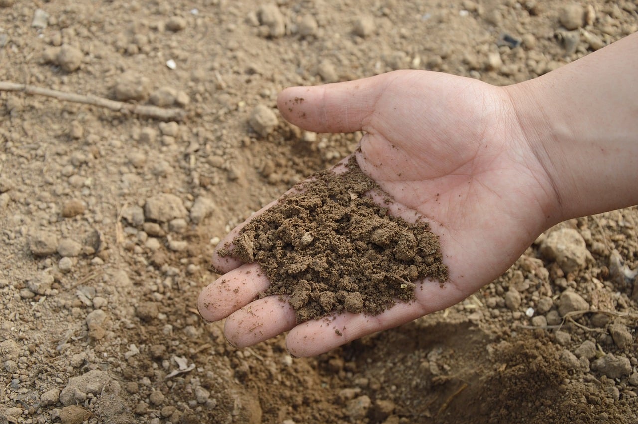 Connaître la nature du sol de votre potager