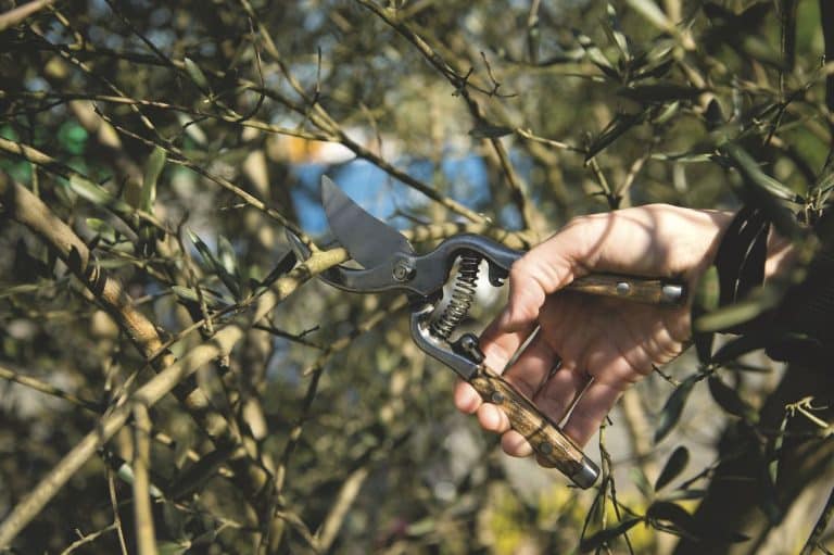 L’entretien de vos outils de coupe