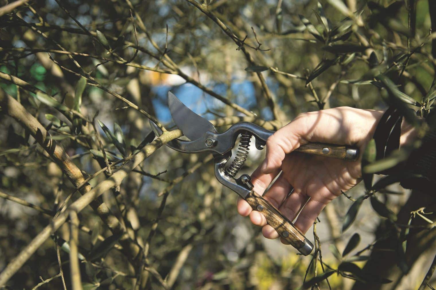 L’entretien de vos outils de coupe