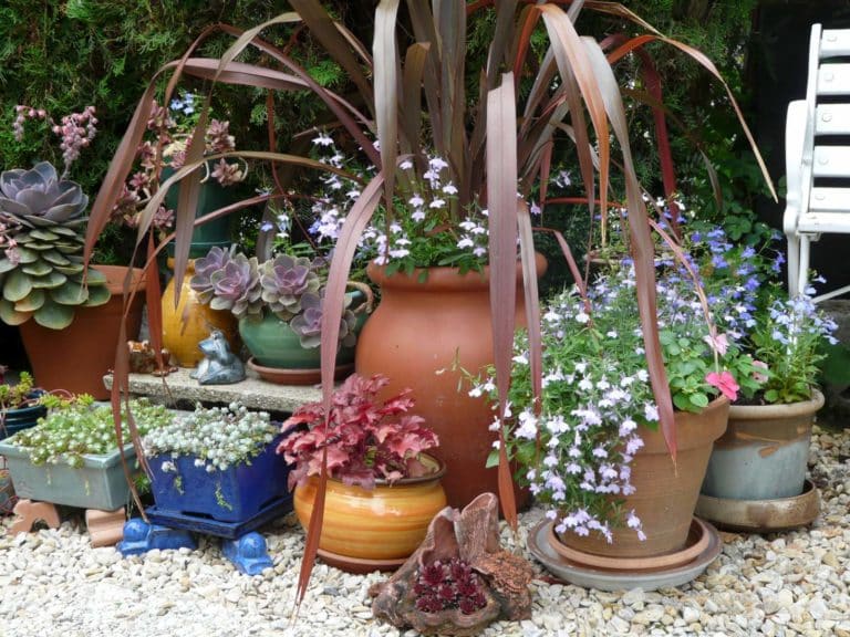 L’art de détourner l’usage des pots dans le jardin