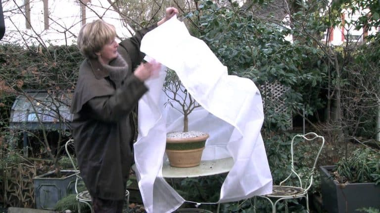 Voile d’hivernage : une protection sûre pour vos plantes