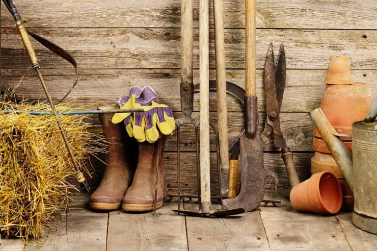 Jardin potager : les outils de base