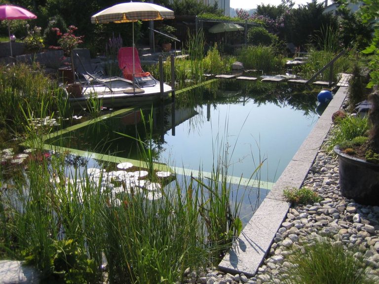 L’entretien d’une piscine naturelle