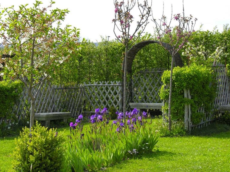 Quels sont les équipements nécessaires pour entretenir son jardin ?