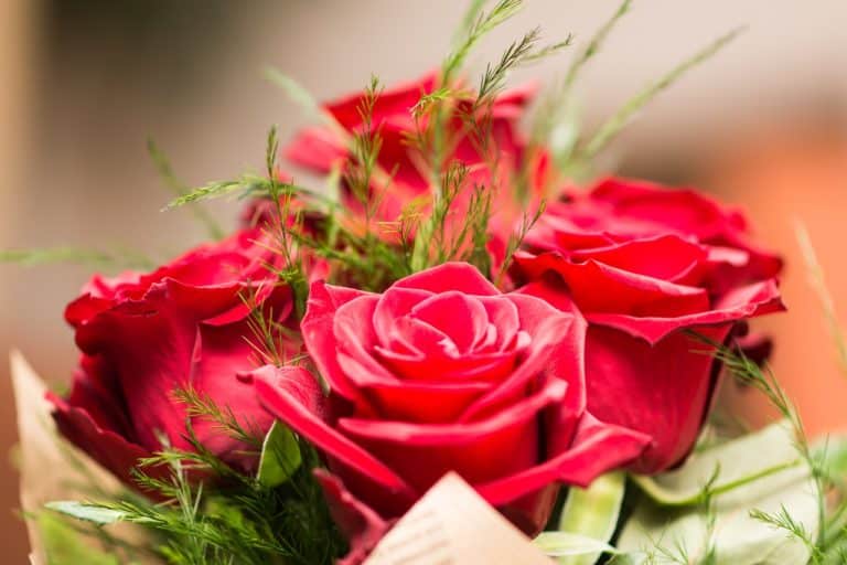 Quelle est la signification des fleurs les plus vendues ?