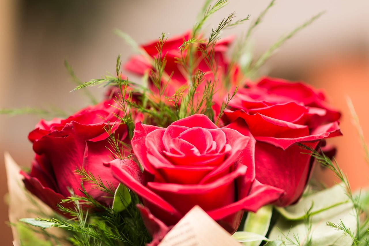 Quelle est la signification des fleurs les plus vendues ?