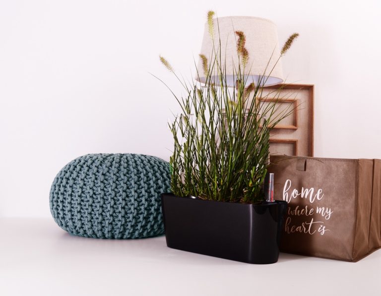 Quelques conseils pour installer un jardin d’intérieur
