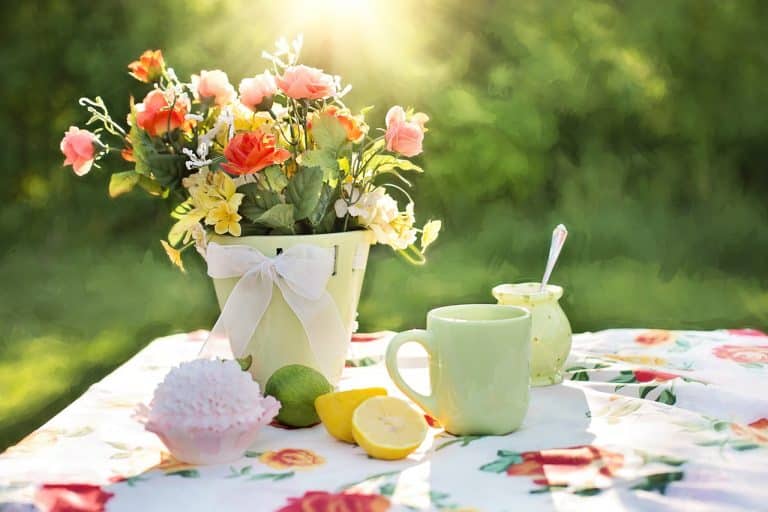 Les meilleurs conseils pour décorer votre jardin