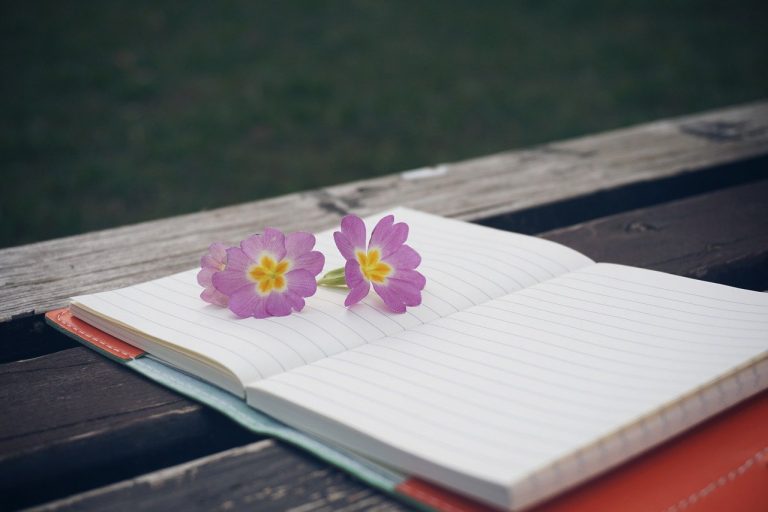 Comment remettre à neuf un décor de jardin en pierre ?