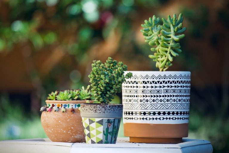 Comment préparer votre jardin pour le printemps ?