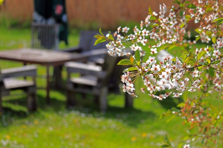 Différentes façons d’organiser une garden-party estivale à l’extérieur