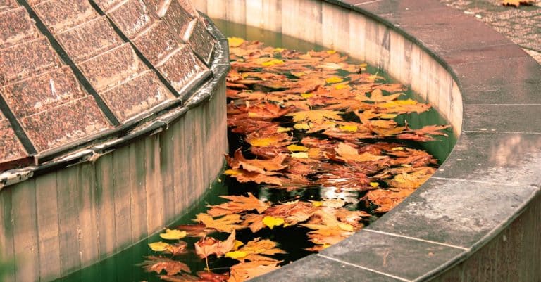 Comment installer une fontaine murale dans son jardin ?