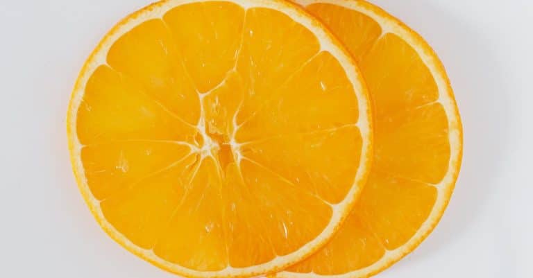 Comment multiplier vos plantes grâce aux boutures et aux rejets ?