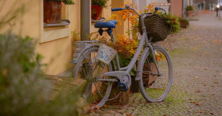 Quels ornements décoratifs choisir pour embellir votre jardin ?
