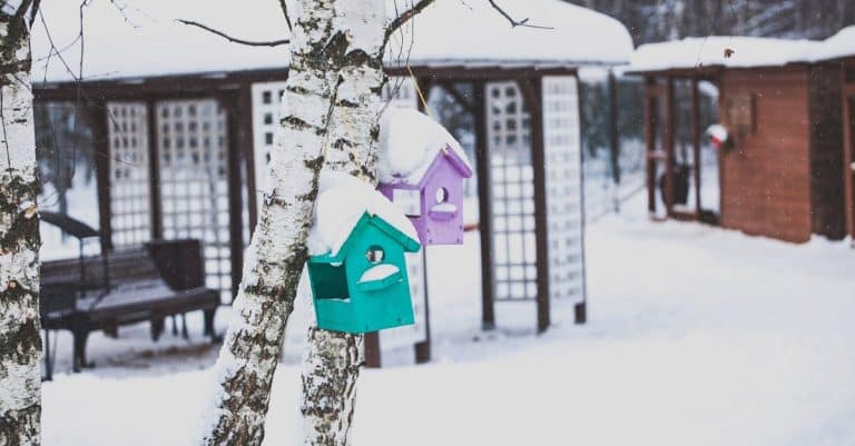 Comment fabriquer des nichoirs à oiseaux ?