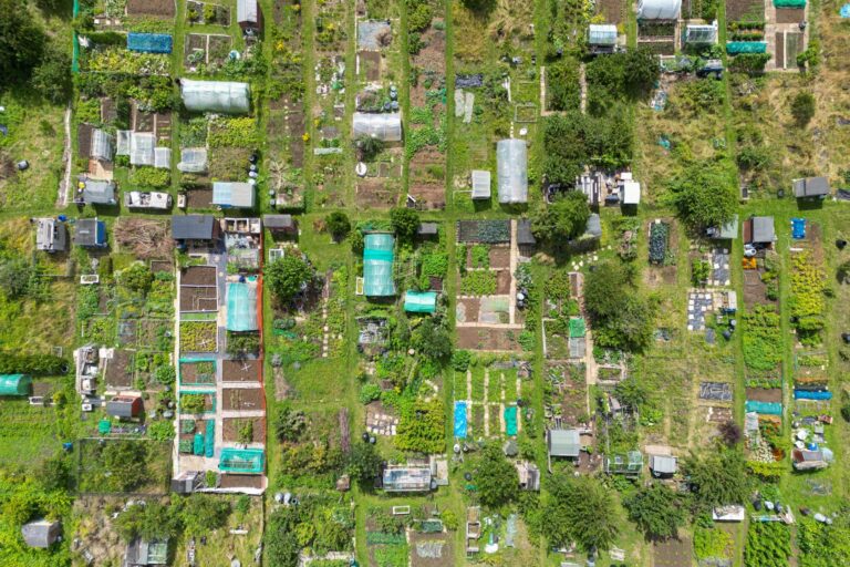 Comment pratiquer le jardinage participatif en ville ?