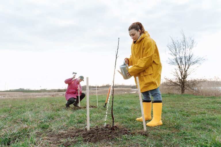 Comment réussir la plantation d&rsquo;arbres fruitiers ?