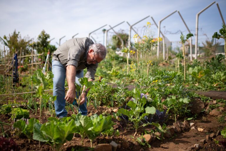 Qu&rsquo;est-ce que la permaculture et comment l&rsquo;appliquer au jardinage ?