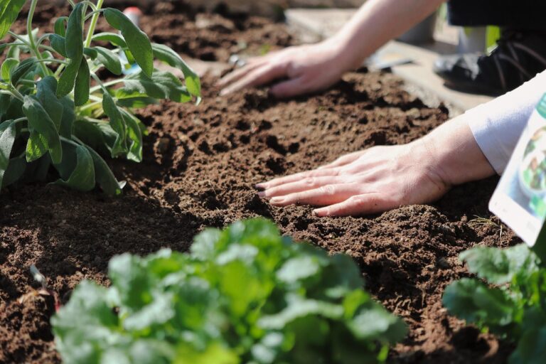 Comment réussir son jardinage en sol argileux ?