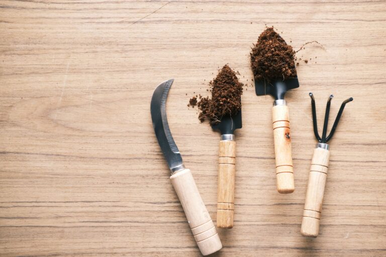 Comment entretenir efficacement vos outils de jardinage ?