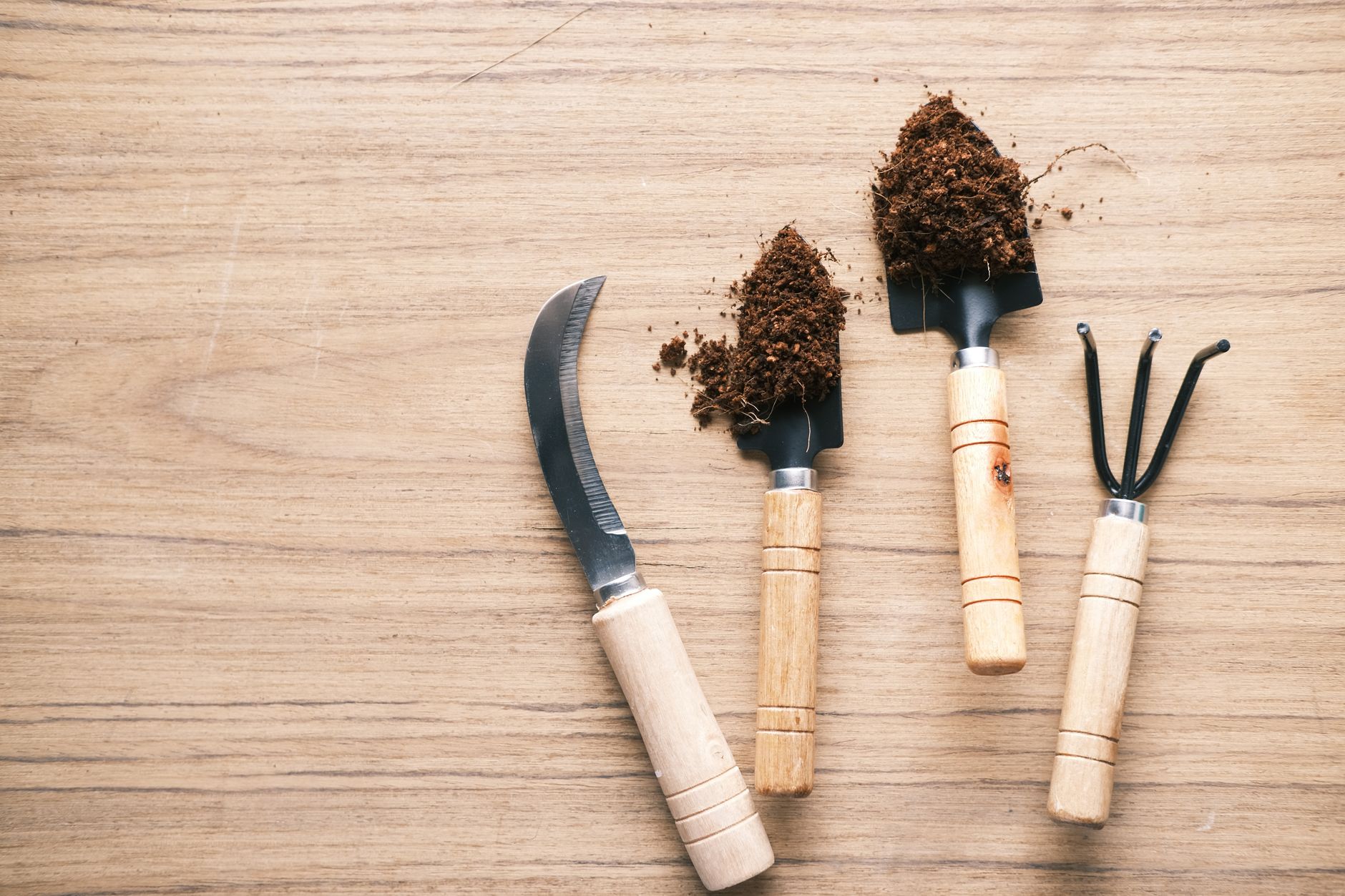 Comment entretenir efficacement vos outils de jardinage ?