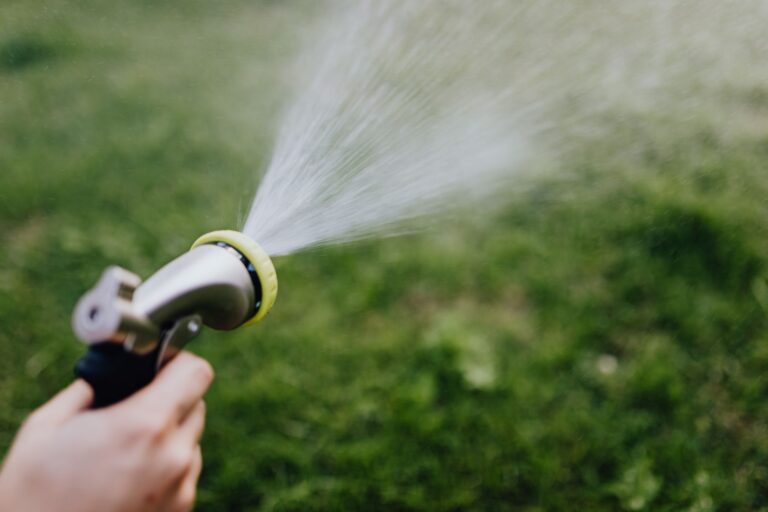 Comment réaliser un arrosage économe en eau ?