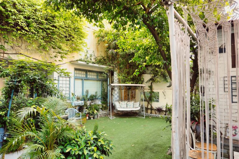 Comment créer un jardin d&rsquo;ombre ?
