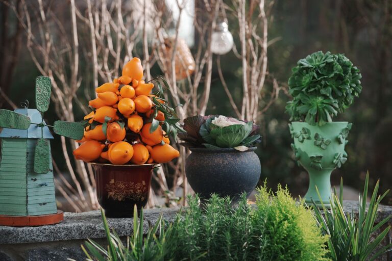Comment embellir son jardin avec des décorations éphémères ?