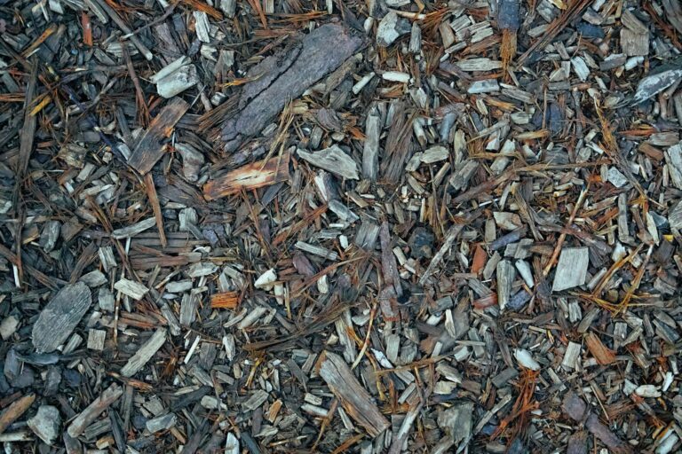 Comment rendre votre jardin plus esthétique avec un paillage naturel ?