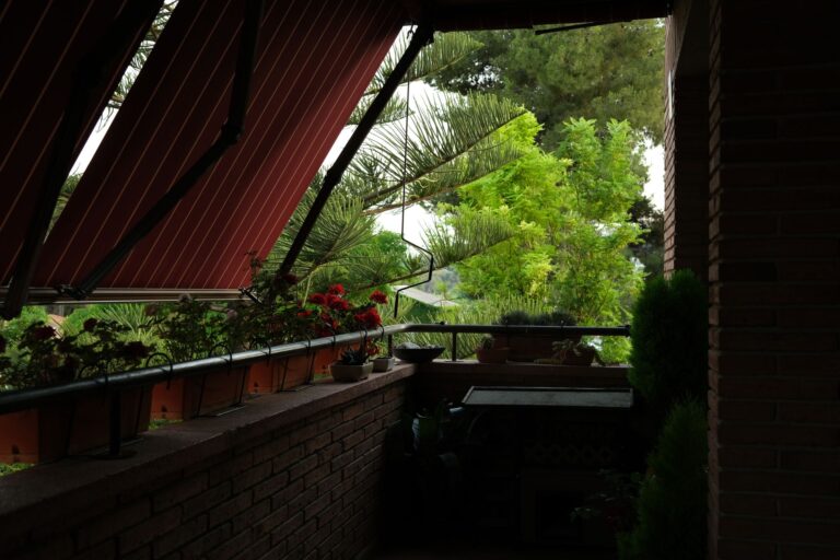 Quelles plantes choisir pour vos pots de balcon ?
