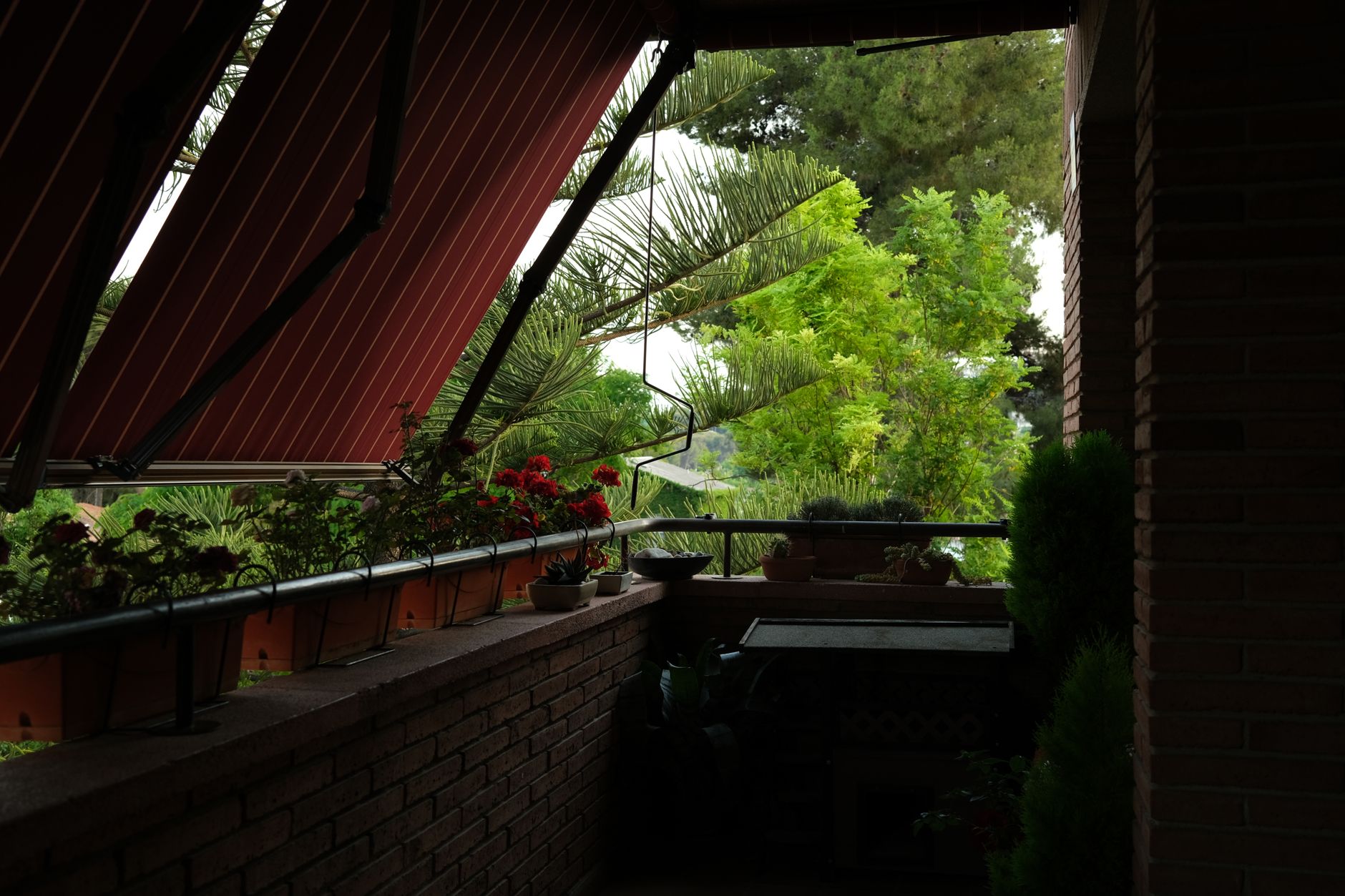 Quelles plantes choisir pour vos pots de balcon ?