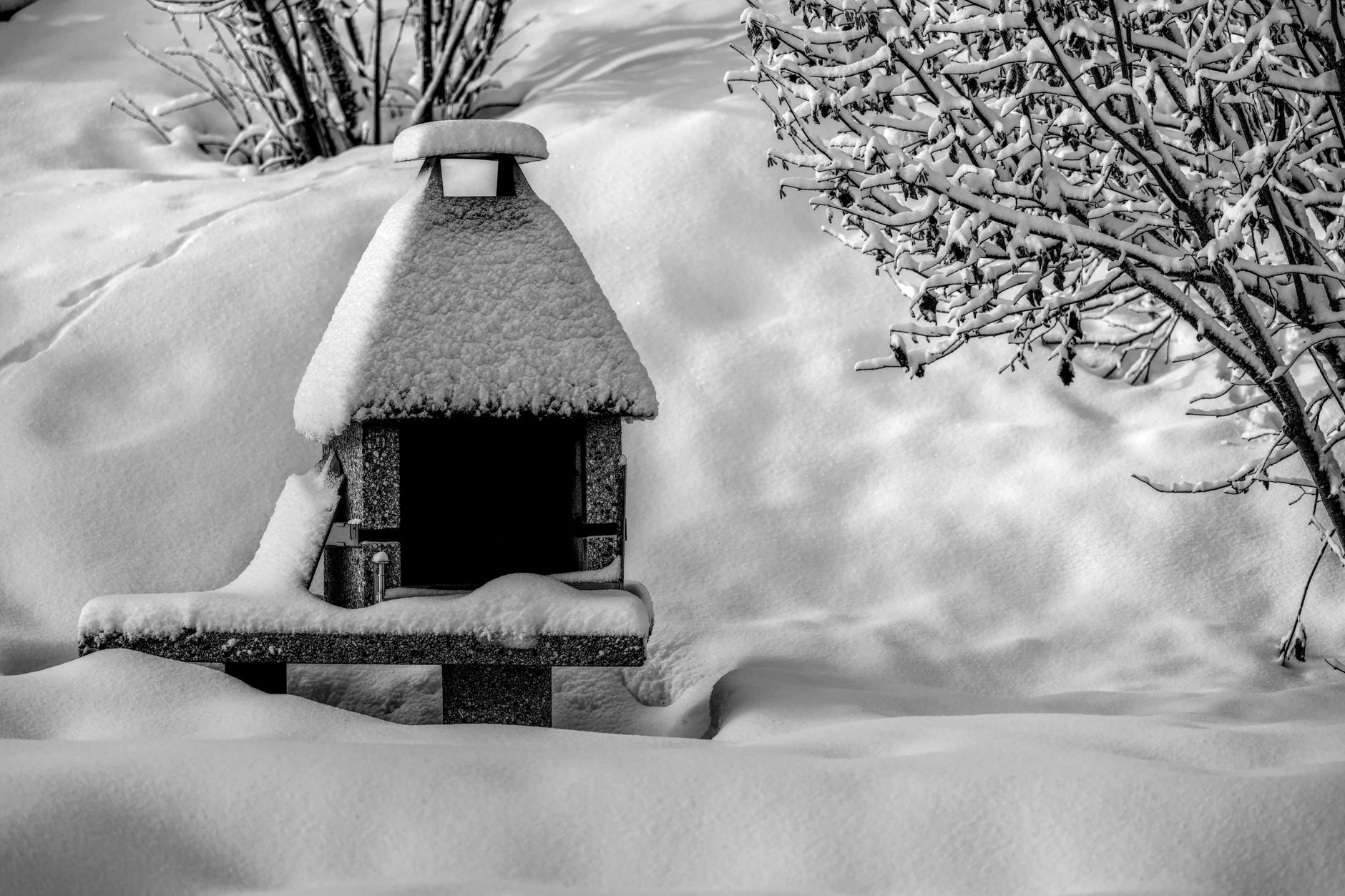 Comment aménager un paysage enneigé dans son jardin ?