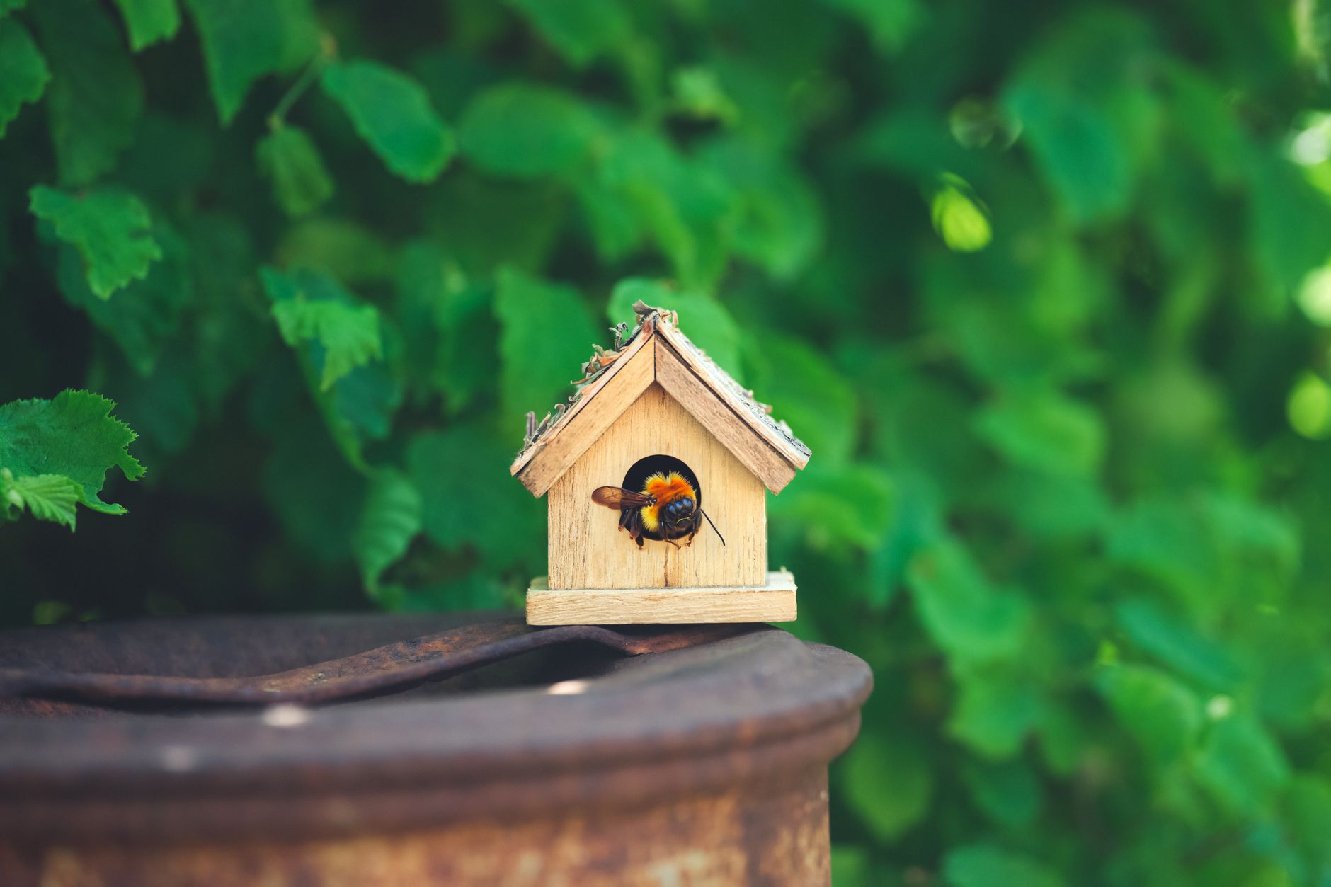 Pourquoi installer des nichoirs à insectes utiles dans votre jardin ?