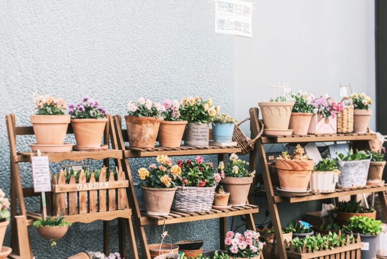 Quelles sont les fleurs éphémères à cultiver dans votre jardin ?