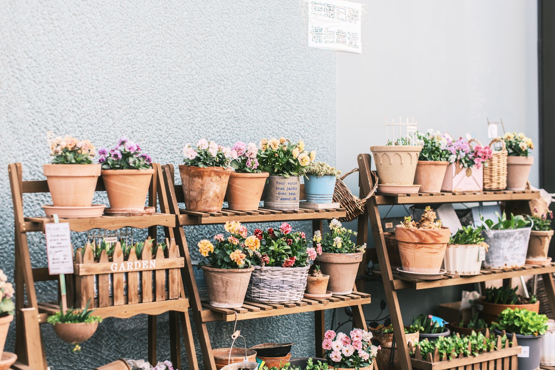 Quelles sont les fleurs éphémères à cultiver dans votre jardin ?