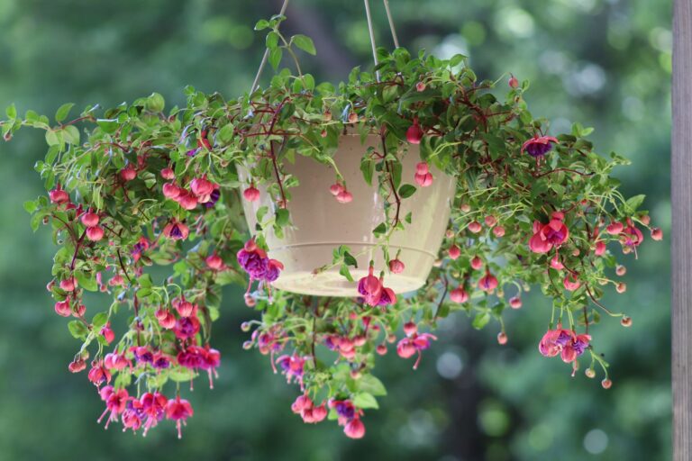 Comment créer des jardinières suspendues originales ?