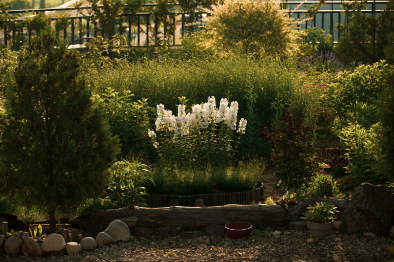 Comment réussir une jardinière d&rsquo;été ?
