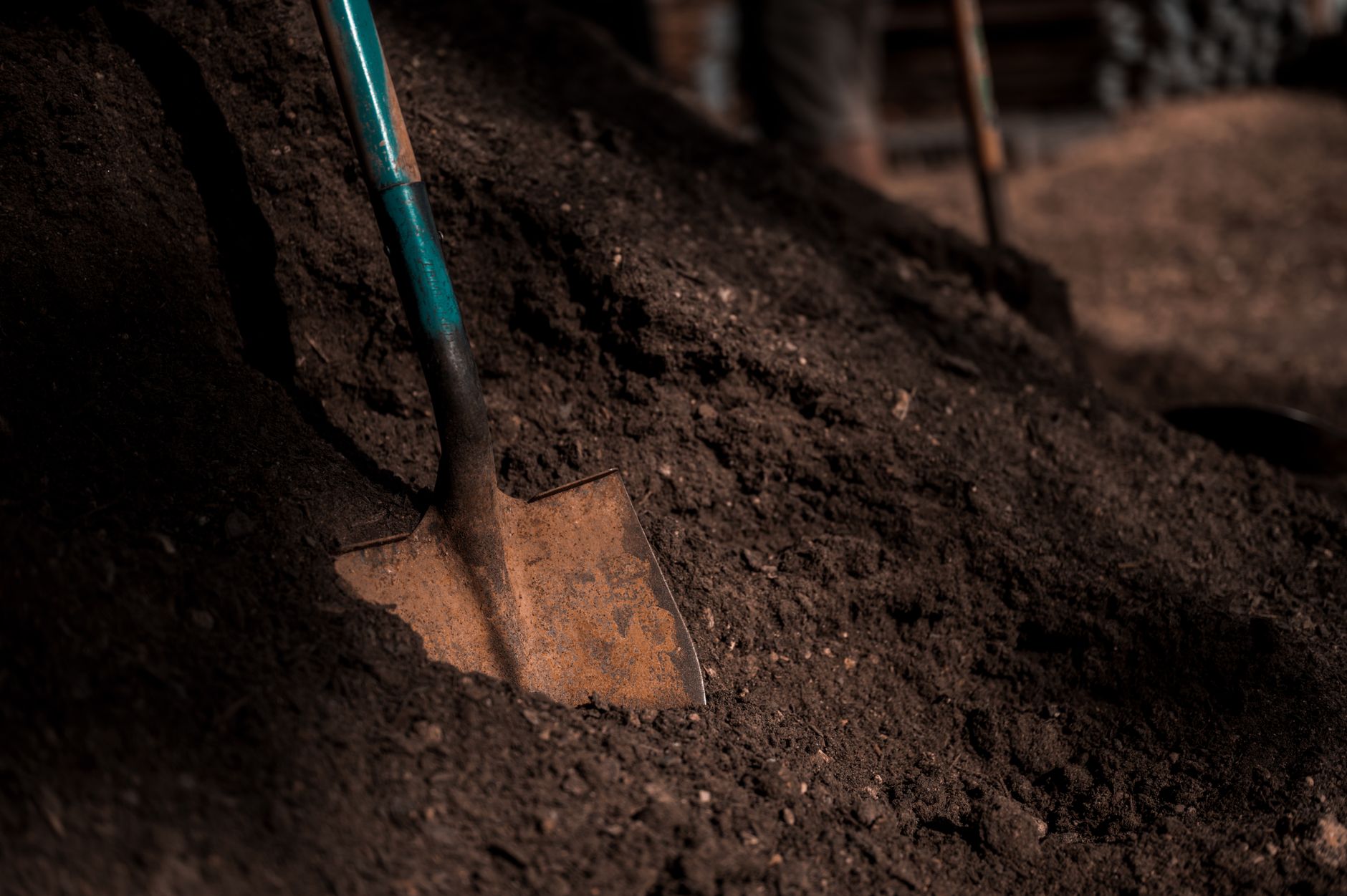Comment jardiner efficacement dans un sol sablonneux ?